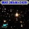 IRAS 20316+2429