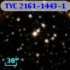 TYC 2161-1443-1