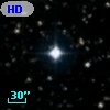 HD 347081