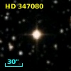 HD 347080