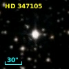 HD 347105