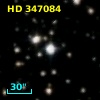 HD 347084