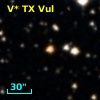 V* TX Vul