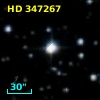 HD 347267