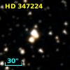 HD 347224