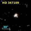HD 347109