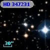 HD 347231