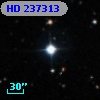 HD 237313