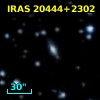 IRAS 20444+2302