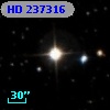 HD 237316