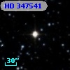HD 347541