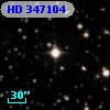 HD 347104