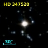 HD 347520