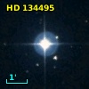 HD 134495