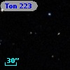 Ton  223