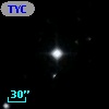 TYC 2029-1037-1