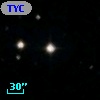 TYC 2032-1115-1