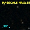 RASSCALS NRGs353