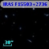IRAS F15503+2736