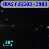 IRAS F15503+2903