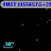 FIRST J155657.5+294331