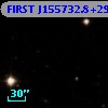 FIRST J155732.8+293309