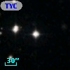 TYC 2041-1007-1