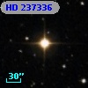 HD 237336