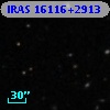 IRAS 16116+2913