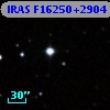 IRAS F16250+2904