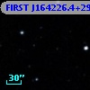 FIRST J164226.4+295511