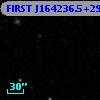 FIRST J164236.5+293641