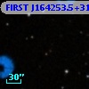 FIRST J164253.5+312959