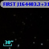 FIRST J164403.3+315030