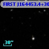 FIRST J164453.4+305609