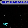 FIRST J164906.4+311544