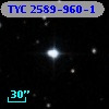 TYC 2589-960-1