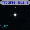 TYC 2593-1313-1