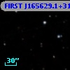 FIRST J165629.1+313531