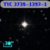 TYC 3738-1393-1