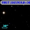 FIRST J165958.0+302031