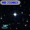 HD 233063