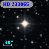HD 233065