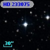 HD 233075