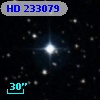 HD 233079
