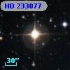 HD 233077