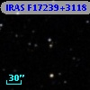 IRAS F17239+3118