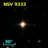 NSV  9333