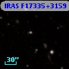 IRAS F17335+3159