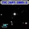 TYC 2607-1009-1